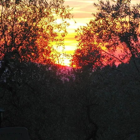 Vakantieboerderij Martignana Alta