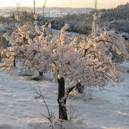Martignana Alta Empoli