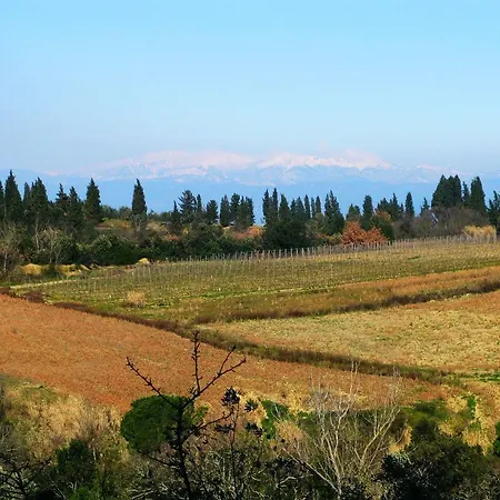 Agriturismo Martignana Alta