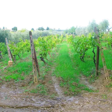 Vakantieboerderij Martignana Alta Empoli