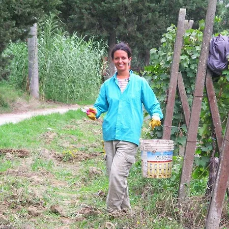 Vakantieboerderij Martignana Alta Empoli