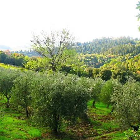 Agriturismo Martignana Alta *
