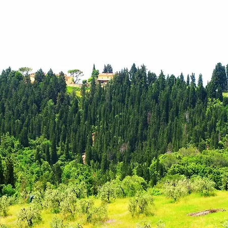 Vakantieboerderij Martignana Alta Empoli